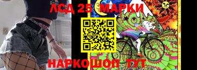 молекула духа Новозыбков