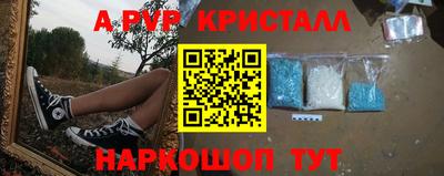 молекула духа Новозыбков