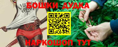 молекула духа Новозыбков