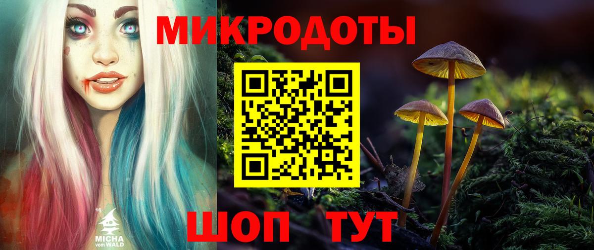 Галлюциногенные грибы Psilocybe Чусовой