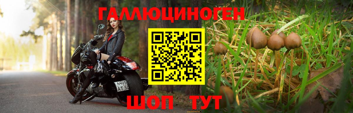 Псилоцибиновые грибы Psilocybe  Вход с VPN  Псилоцибиновые грибы прущие грибы  Чусовой 